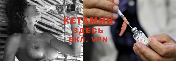 прущие грибы Пестово