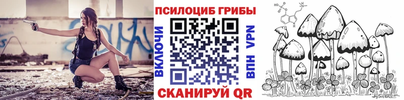 Галлюциногенные грибы Psilocybe купить наркотик Аргун