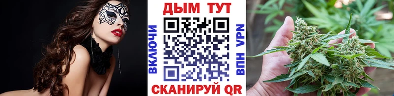Бошки Шишки MAZAR  Аргун 